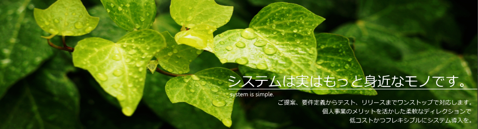 システムは実はもっと身近なモノです。ご提案、要件定義からテスト、リリースまでワンストップで対応します。個人事業のメリットを活かした柔軟なディレクションで低コストかつフレキシブルにシステム導入を。